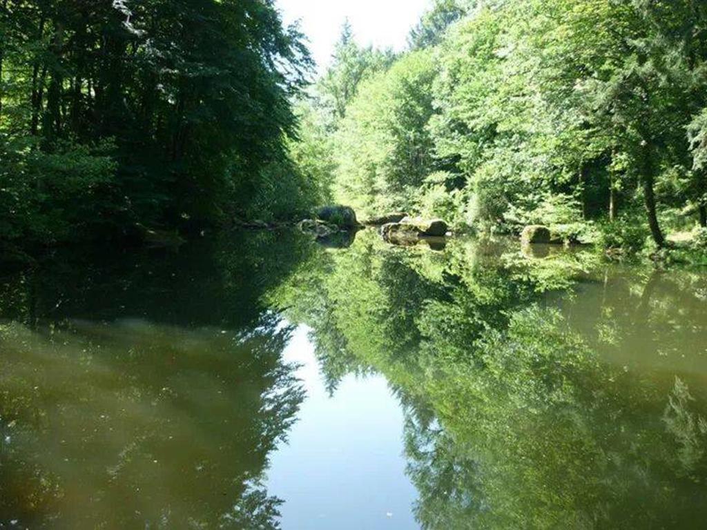 Moulin De Record Villa Ferrieres  Екстериор снимка
